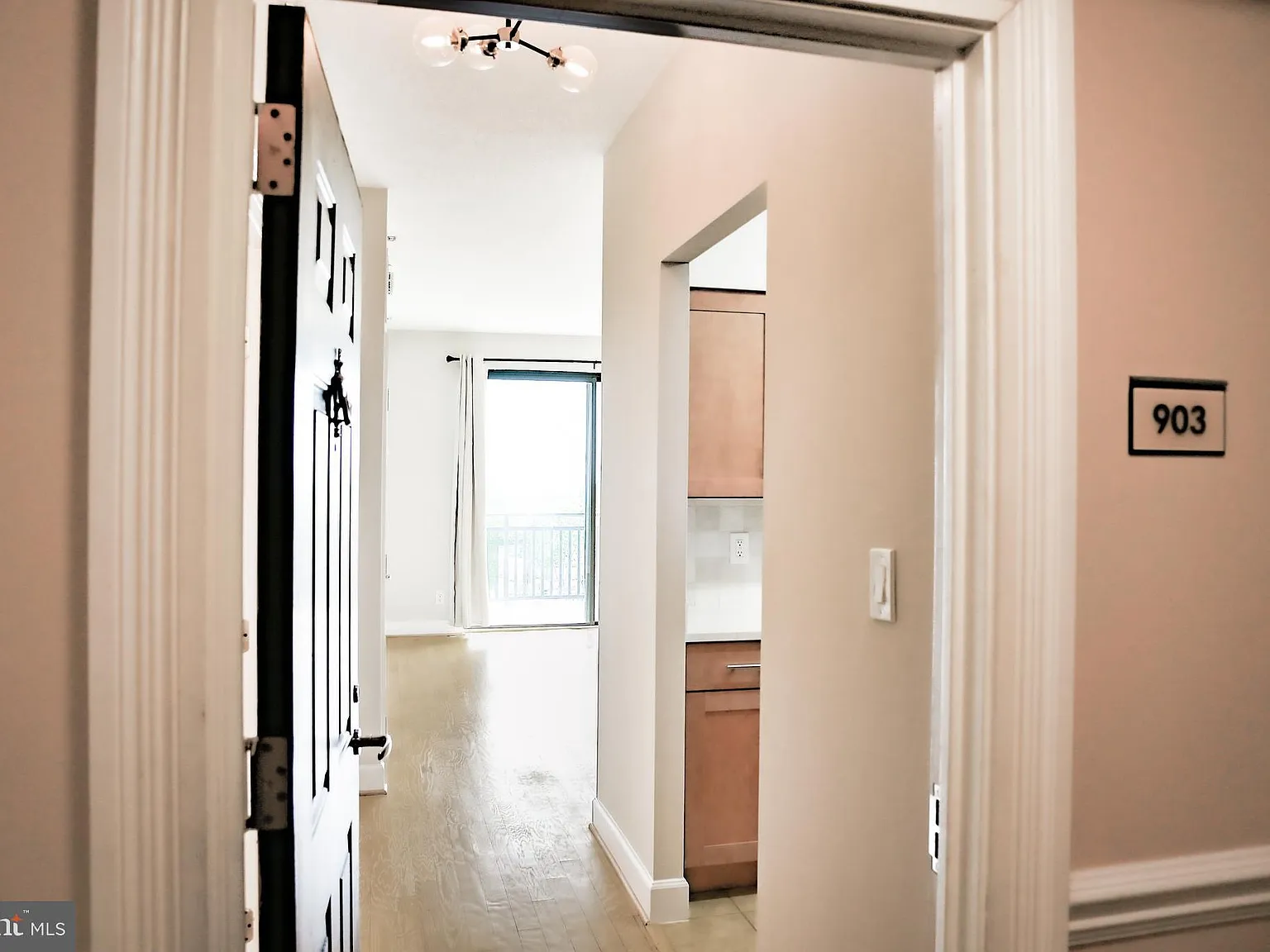1 bed, 555 sqft, $2,350 — Photo 3