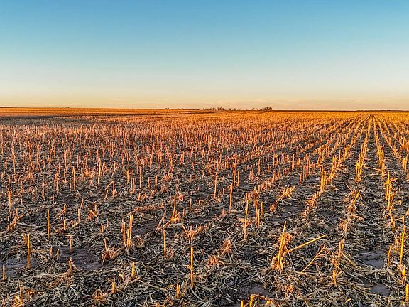 2nd image of County Road 53