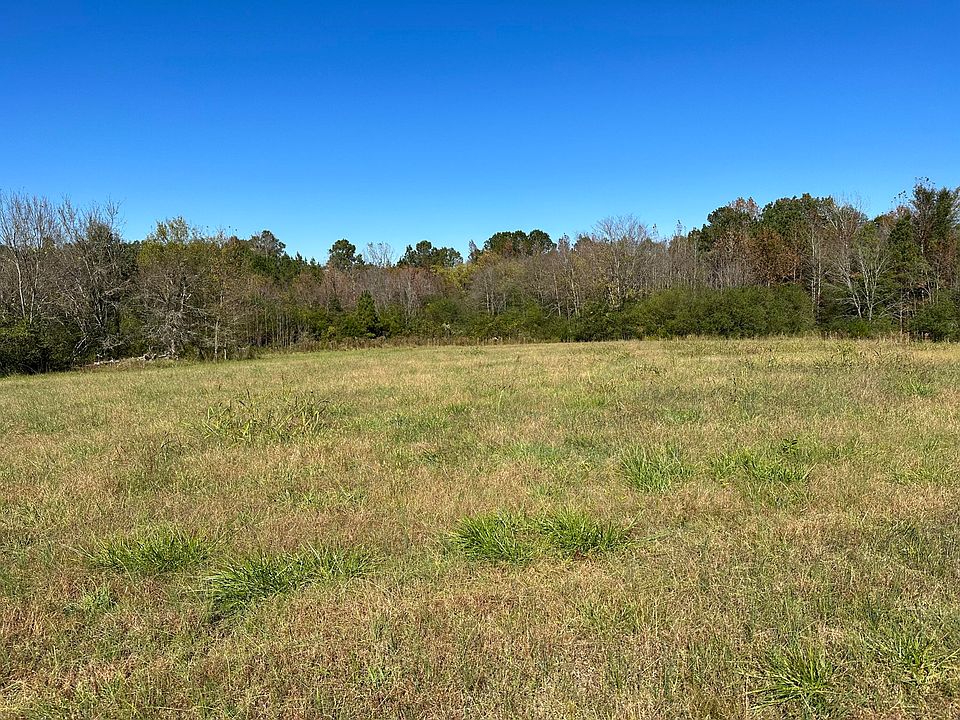 2nd image of Camel Rd