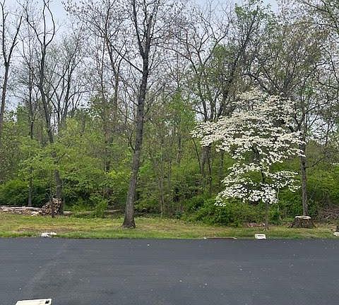 3rd image of 527 Ramblewood Ln