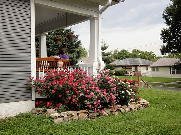 Exterior - Rose bush