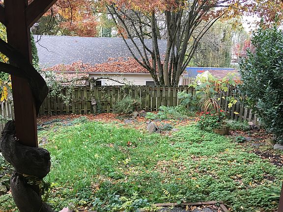 Fenced back yard
