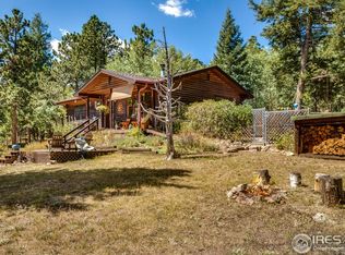 72 Meadowland Ct, Nederland, CO 80466