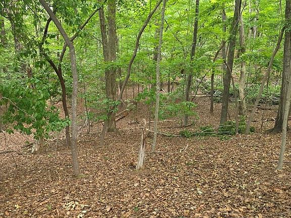 2nd image of D3 Wildwood Cir