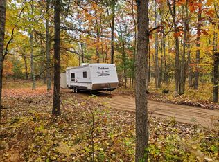 10843 N Mac Rd, Irons, MI 49644