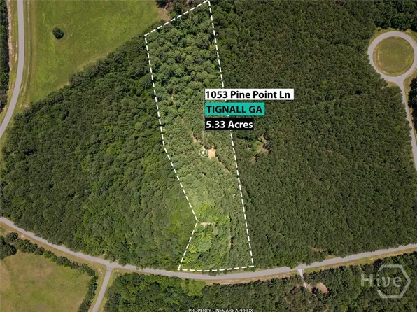 1053 Pine Point Lane, Tignall, GA 30668