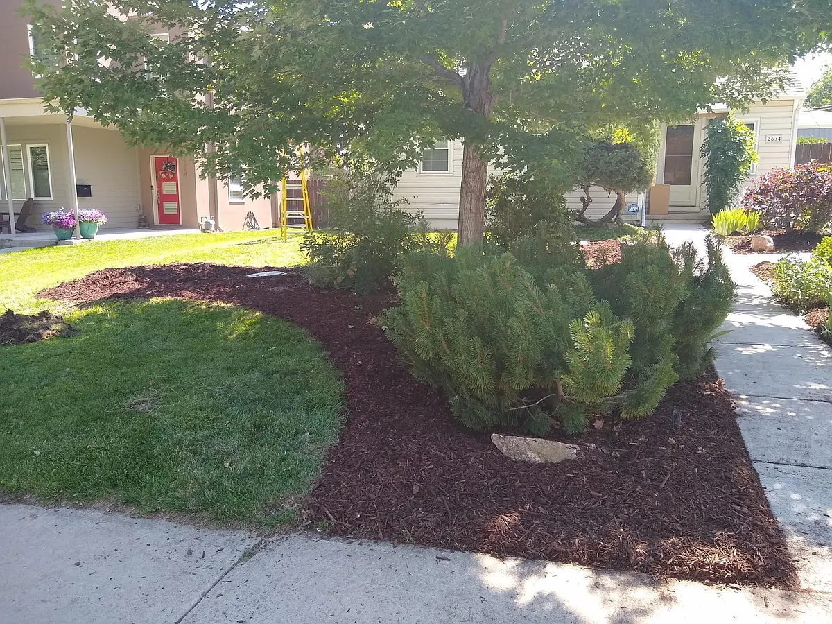 Front Yard - 2634 S Race St
