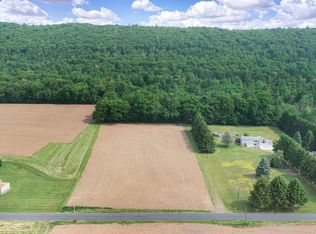 0 Line Mountain Rd, Dornsife, PA 17823