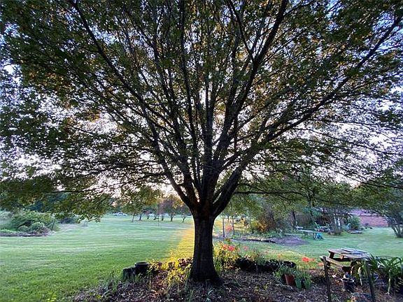 4th image of 575 Pecan Trl