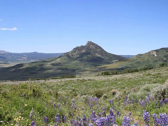3rd image of tbd hwy 40