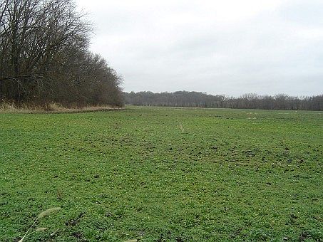 2nd image of SE Honeysuckle Dr