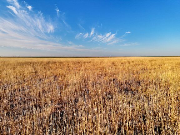 5th image of Highway 385