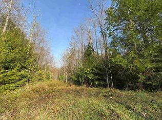 80 Gondola Ct, Davis, WV 26260