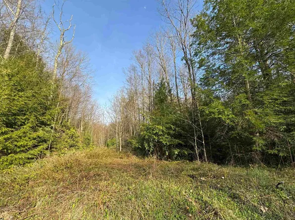 80 Gondola Ct, Davis, WV 26260
