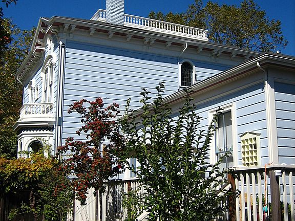 rear of house 