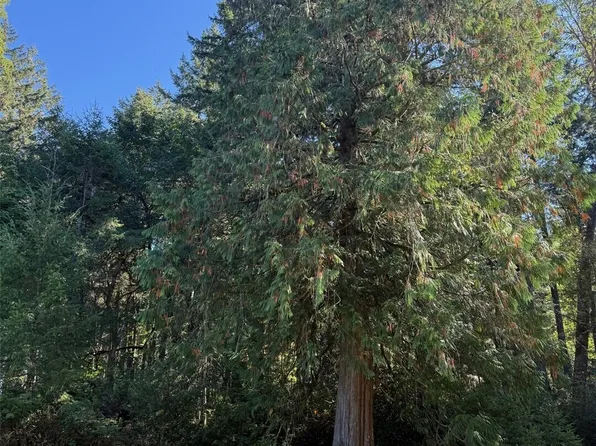 17430 27th Street SW, Lakebay, WA 98349