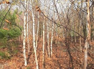 907 Bog Rd, New Portland, ME 04961