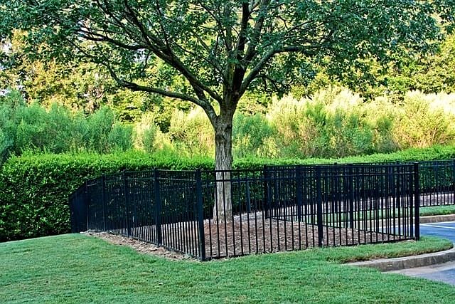 Bark Park
