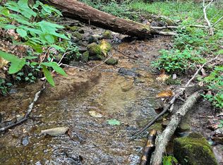 S Old Aska Rd, Blue Ridge, GA 30513