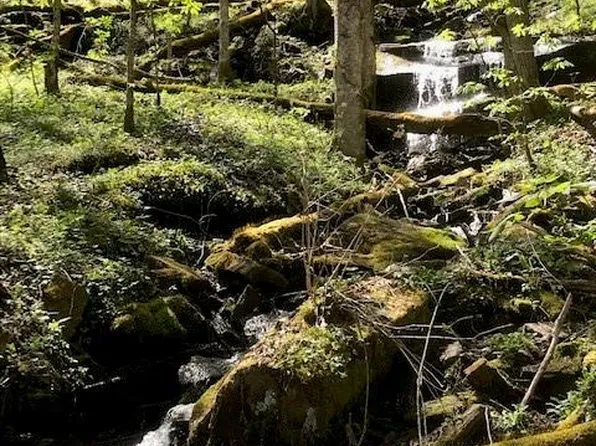 976 Slippery Rock Rd, Waynesville, NC 28785