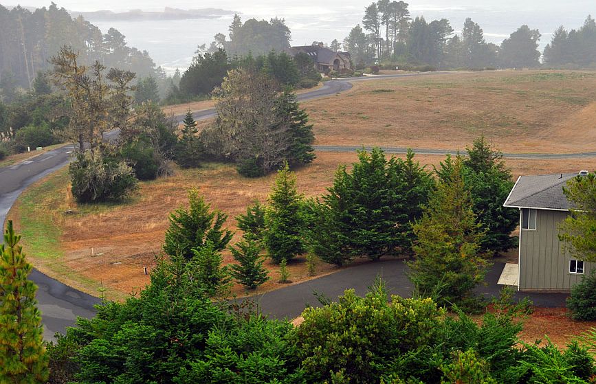 Overlooking the land.