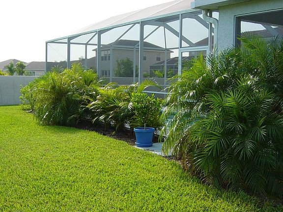 Side Yard View