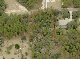 766 E Whitecloud Ln, Hernando, FL 34442