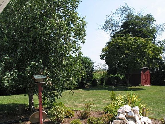 big backyard