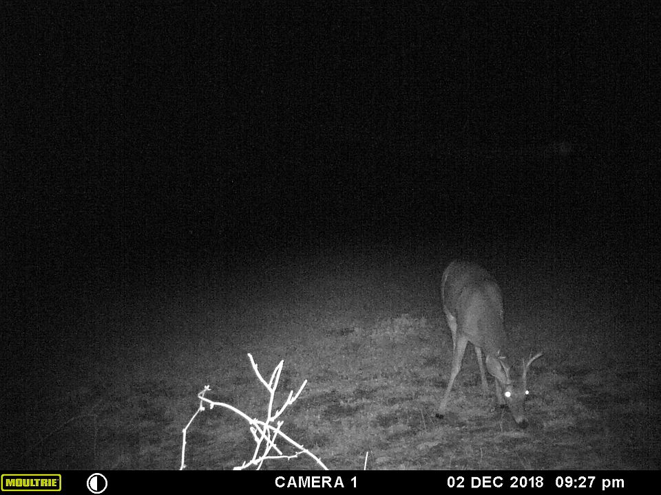1st image of 3395 County Road 6300