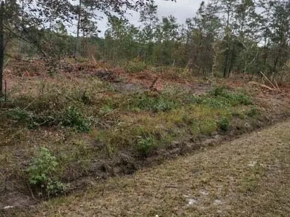 3 Rehoboth Rd, Cottageville, SC 29435