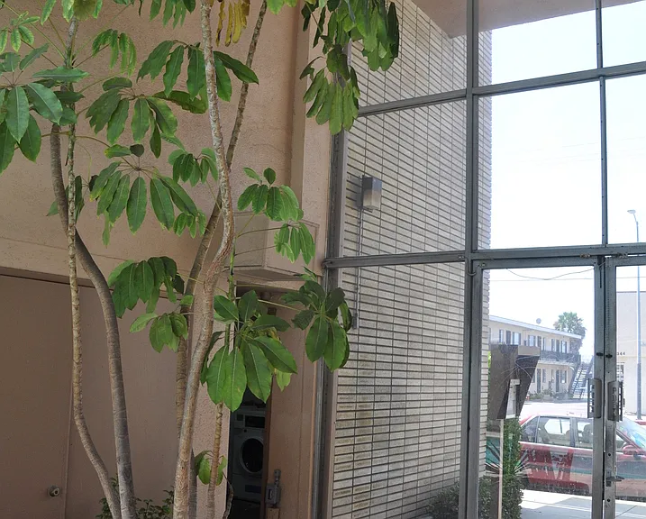 Royal Palms Apartments — Photo 18