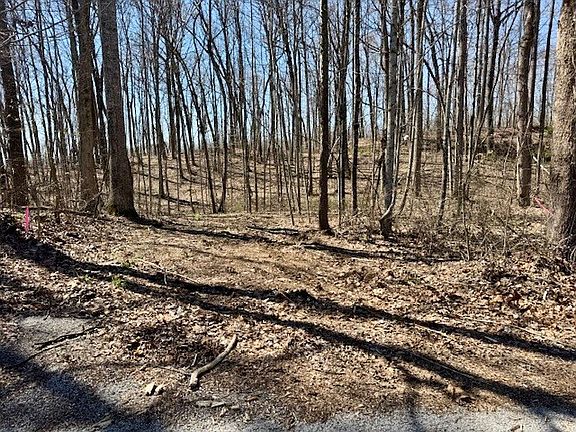 5th image of Jimmy Reneau Rd