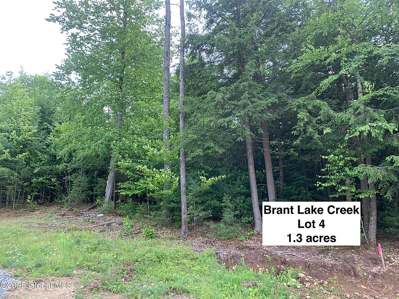 5th image of 14 Brant Lake Creek Road
