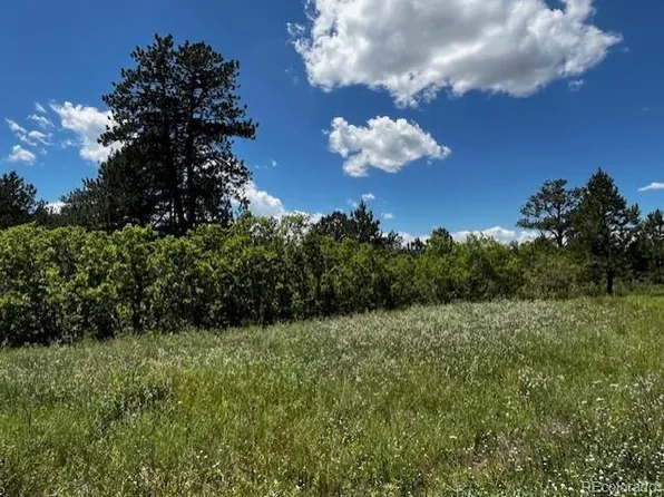 6993 Cinque Tail Drive, Larkspur, CO 80118