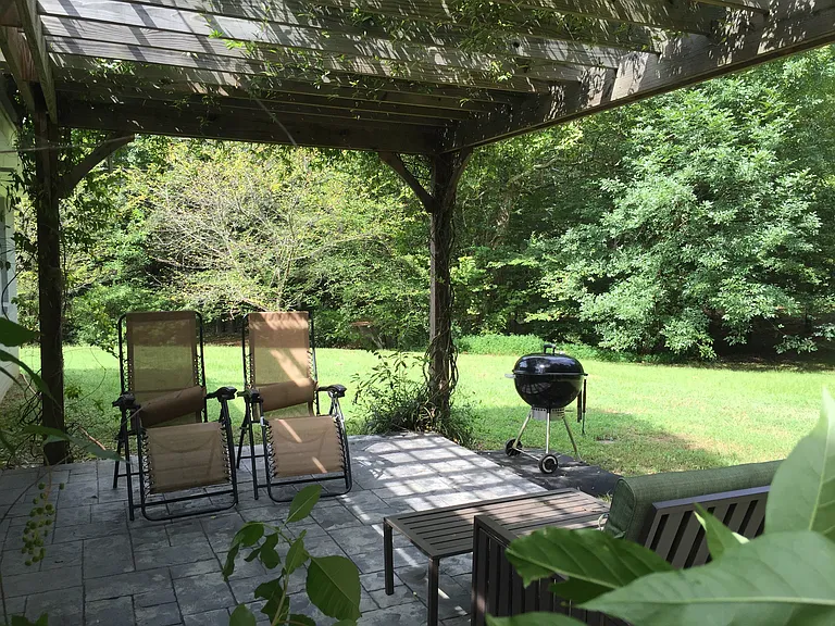 Views of woods from under the pergola out back