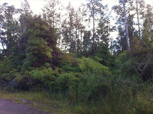 1st image of 36th Ave Lot 23