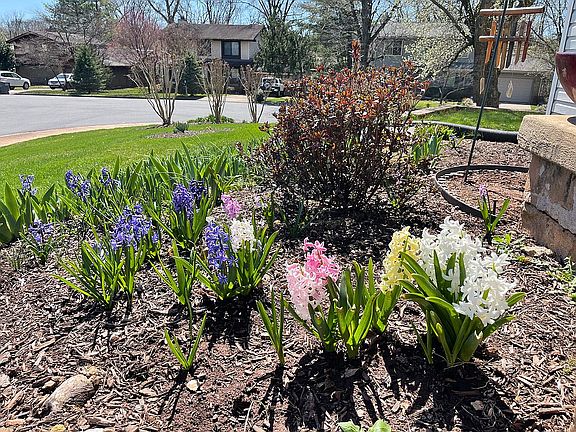 Landscaping