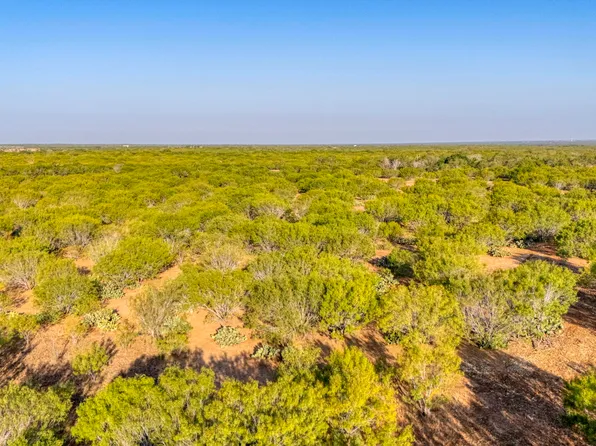 4 CR 331 W, Jourdanton, TX 78026