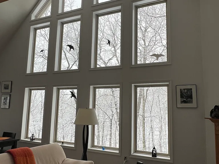 Lookout Rdg — Photo 38