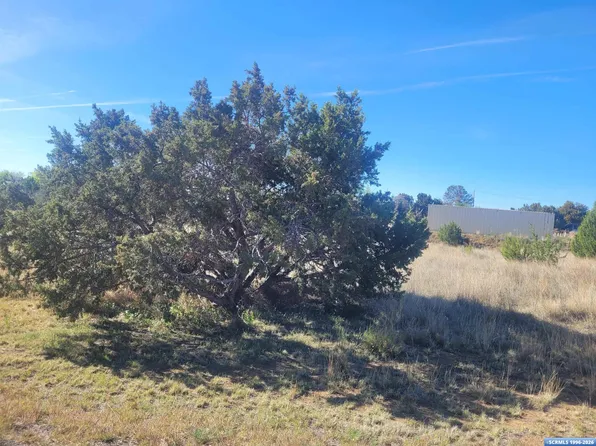 2998 N Pinos Altos St, Silver City, NM 88061