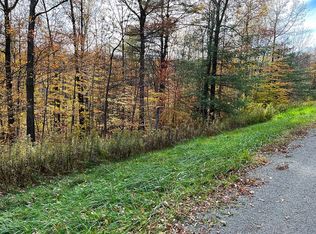 B-1 Dunn Rd, Pine Valley, NY 14872