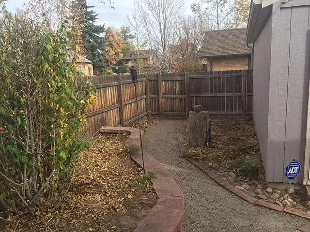 back yard