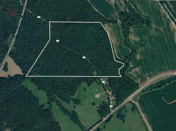 County Road 118, Houston, MS 38851