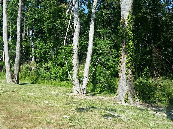 Left Side