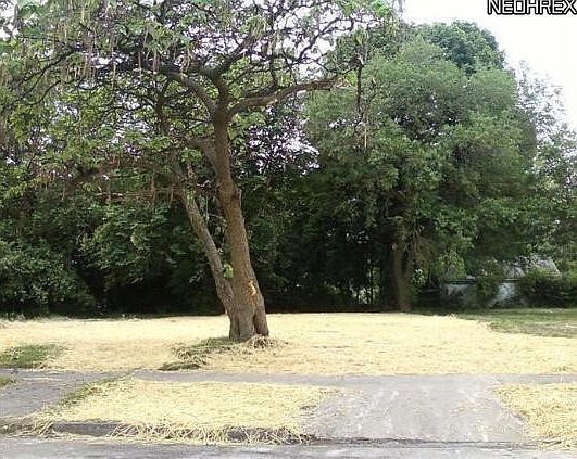 1st image of 5812 Whittier Ave