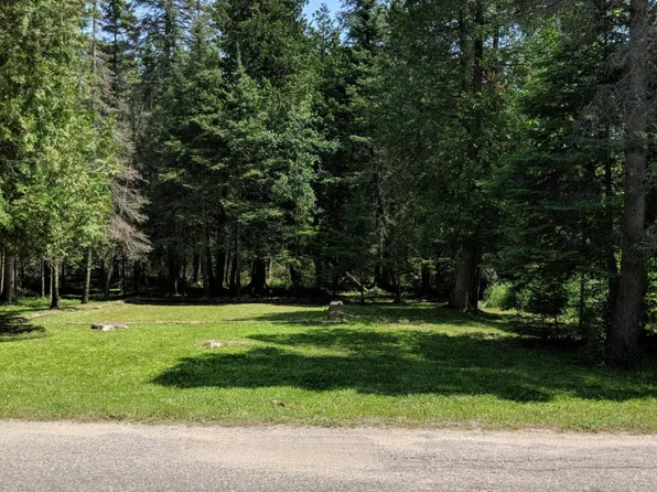 19 S Short St, Cedarville, MI 49719