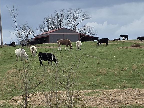 3rd image of 10103 Dogwood Road