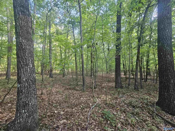 12 Toney Dr, Altoona, AL 35952
