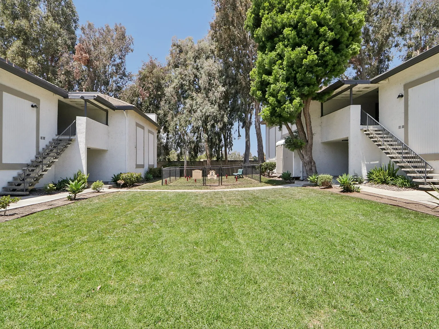 The Linden Apartments — Photo 4