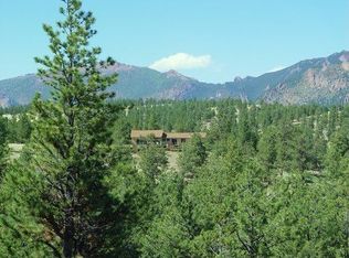 30893 County Road 77, Lake George, CO 80827